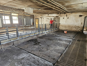 Rekonstrukce haly chovu prasat